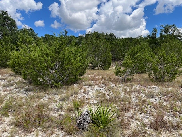 1406 Canyon Trace Canyon Lake TX 78133