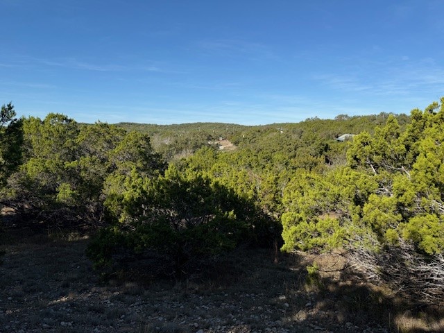 1406 Canyon Trace Canyon Lake TX 78133