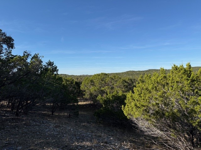 1406 Canyon Trace Canyon Lake TX 78133