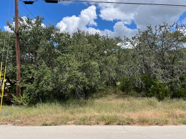 1406 Canyon Trace Canyon Lake TX 78133