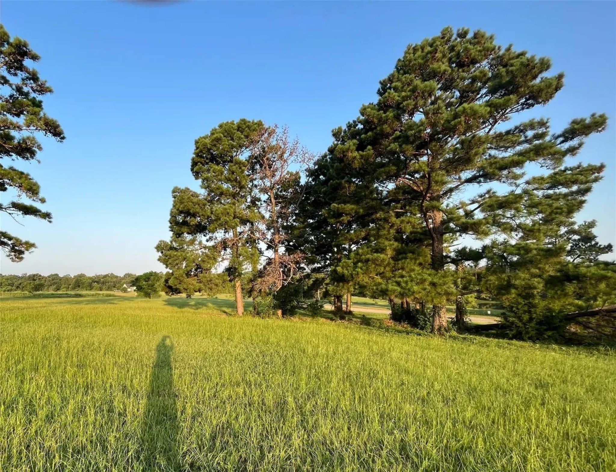 Lot 65: Tbd - Private Road 52320 Pittsburg TX 75686