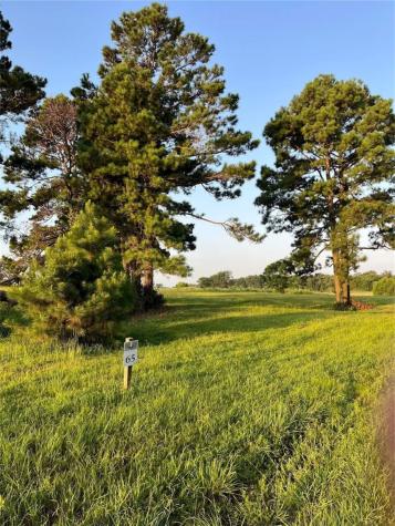 Lot 65: Tbd - Private Road 52320 Pittsburg TX 75686
