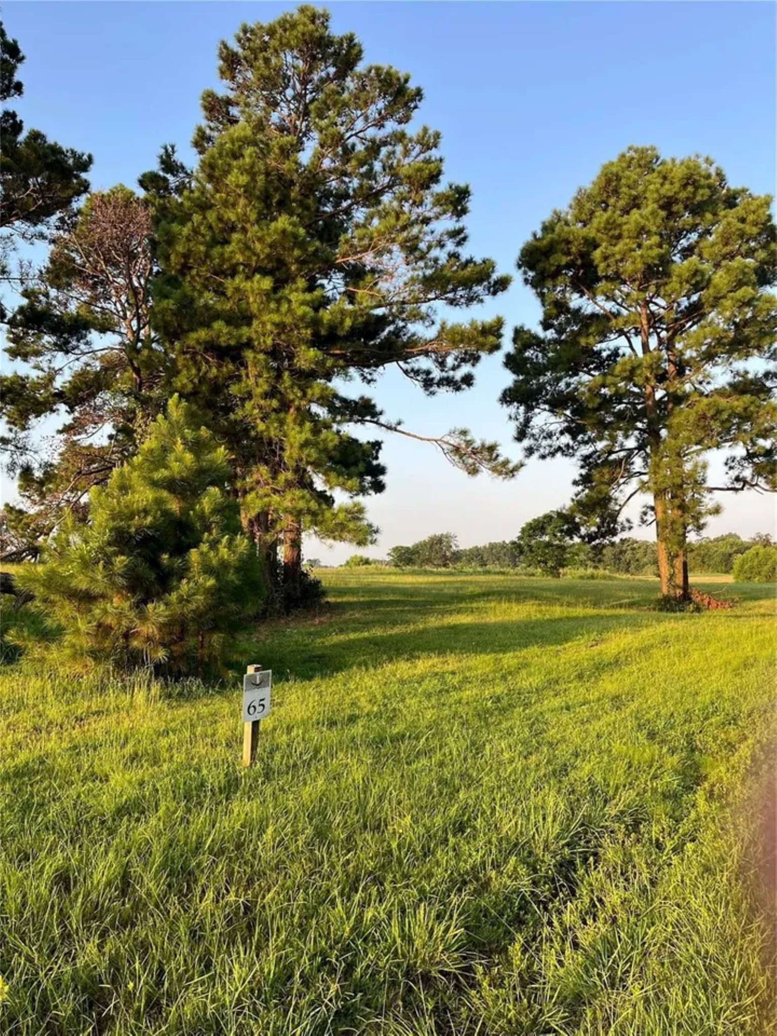 Lot 65: Tbd - Private Road 52320 Pittsburg TX 75686