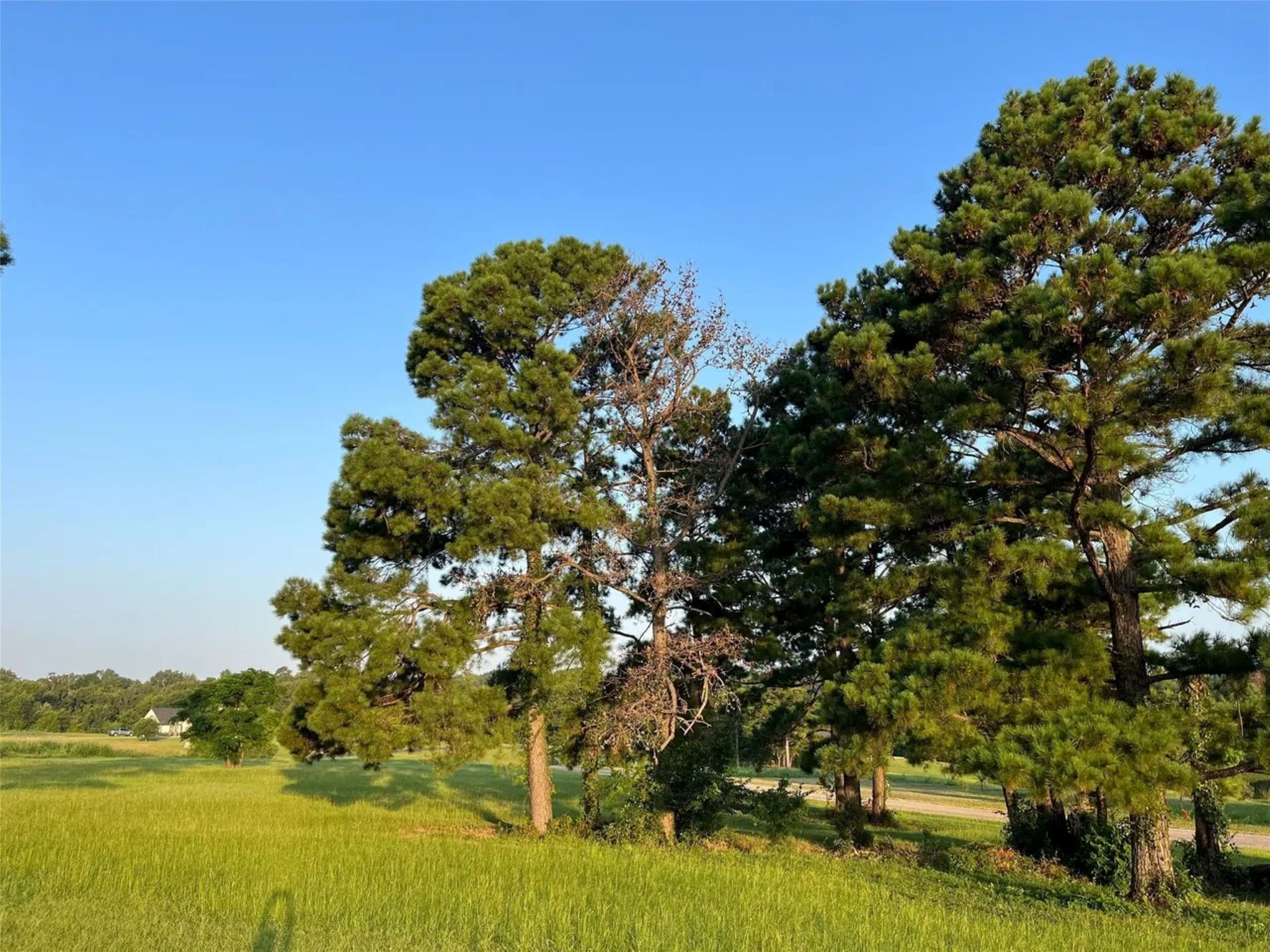 Lot 65: Tbd - Private Road 52320 Pittsburg TX 75686