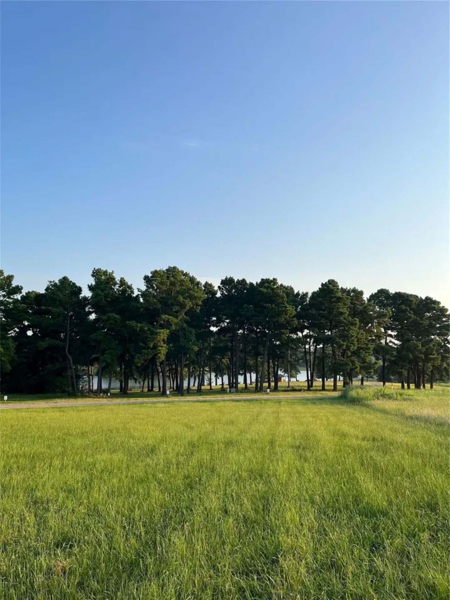 Lot 65: Tbd - Private Road 52320 Pittsburg TX 75686