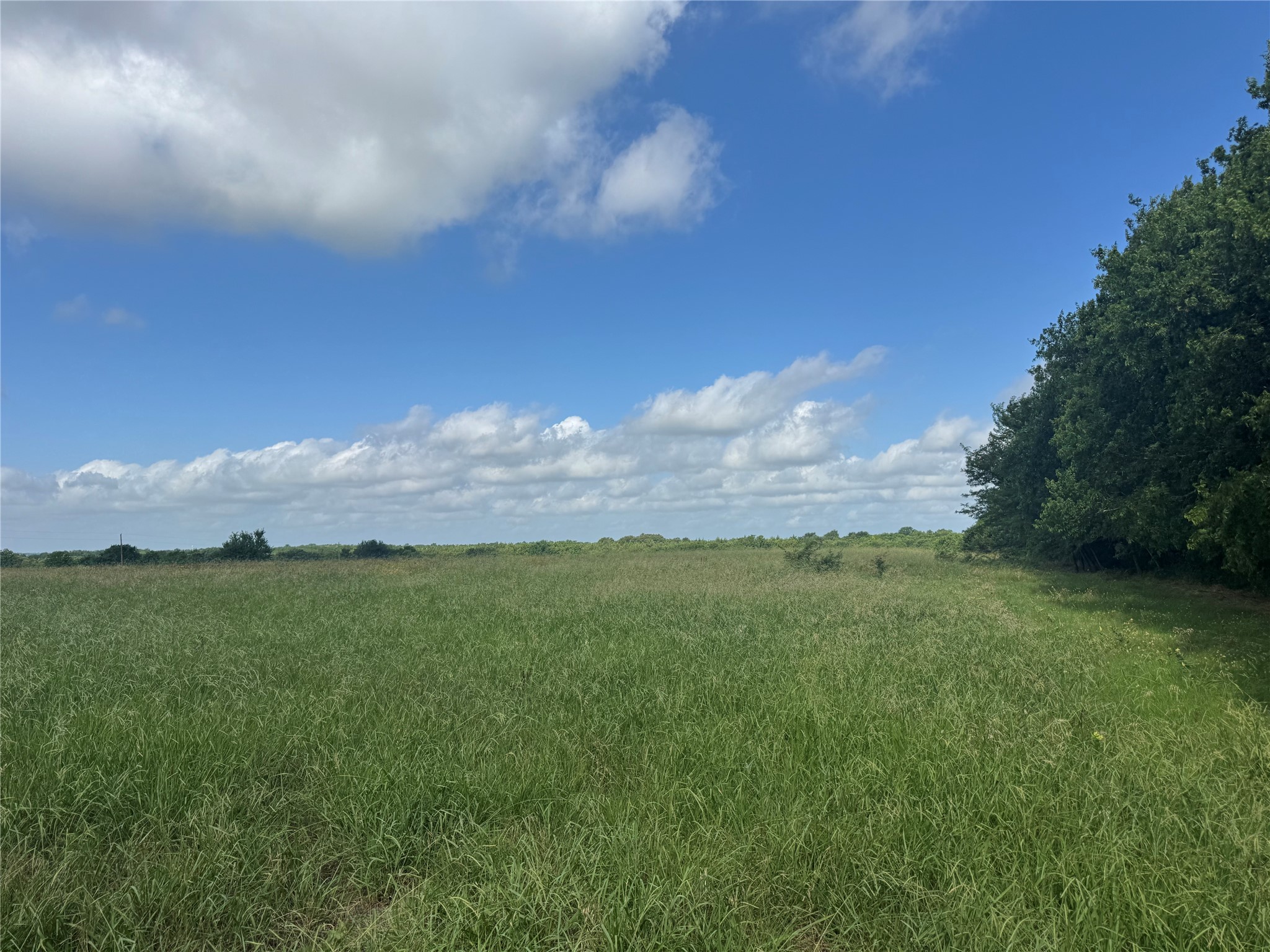 001 Fm 2990 Ladonia TX 75449