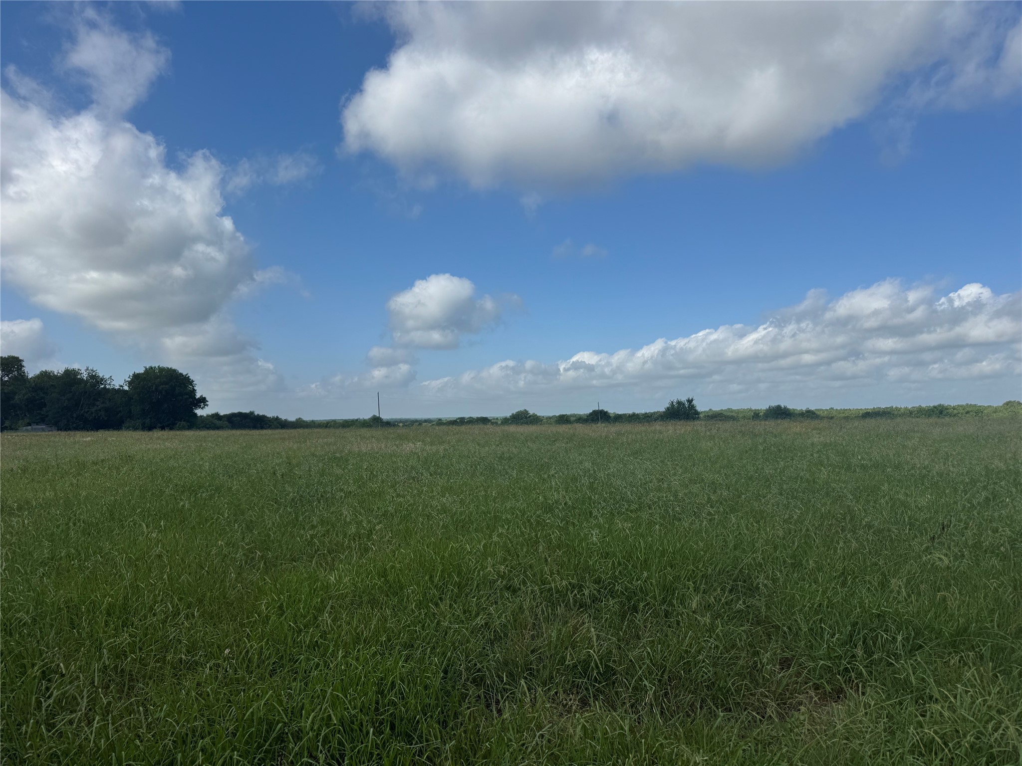 001 Fm 2990 Ladonia TX 75449