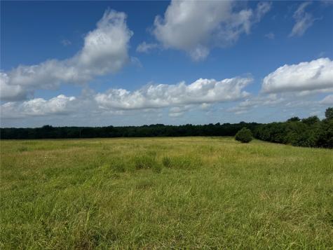 001 Fm 2990 Ladonia TX 75449
