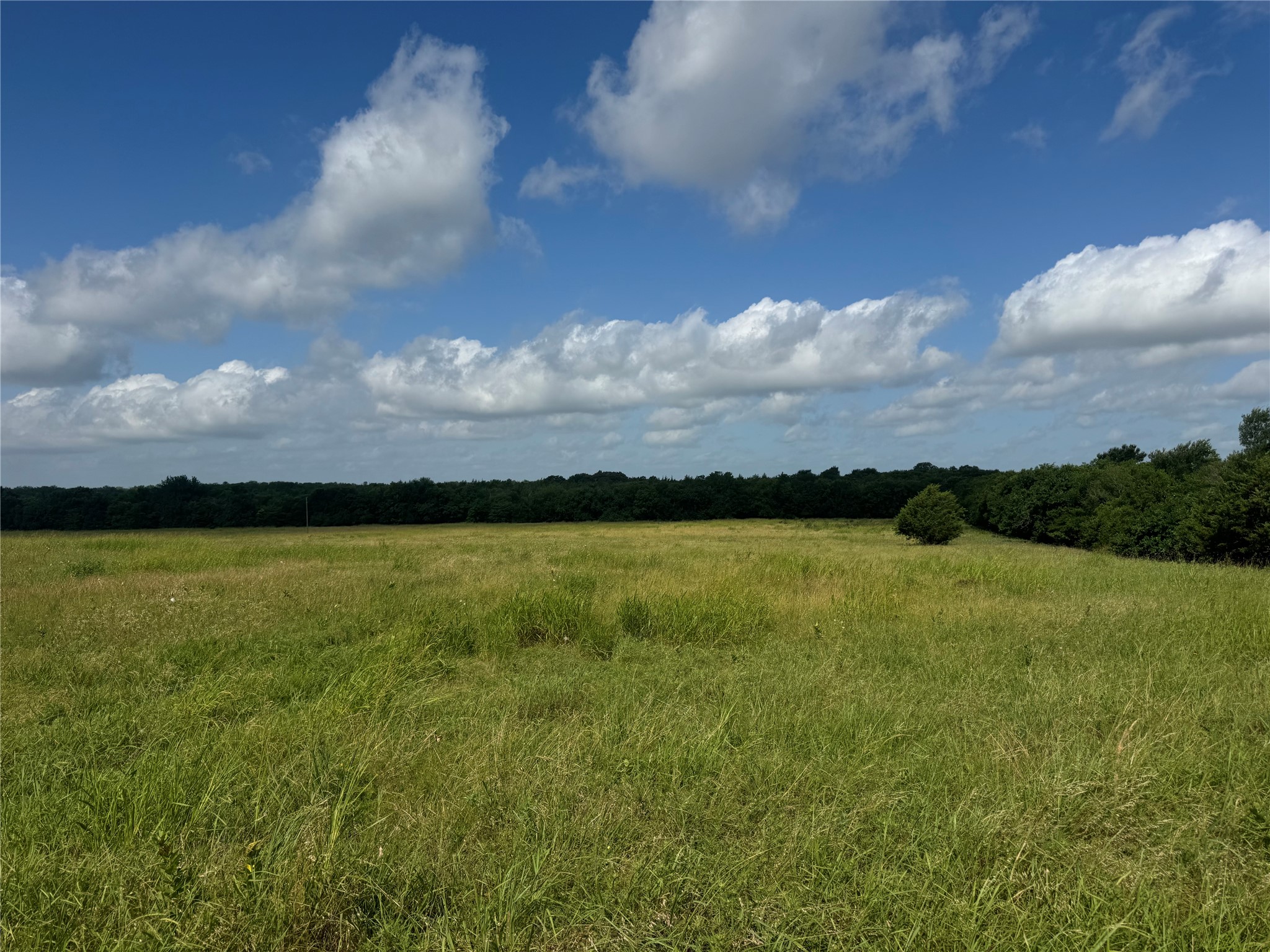 001 Fm 2990 Ladonia TX 75449