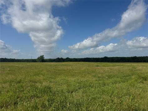 001 Fm 2990 Ladonia TX 75449