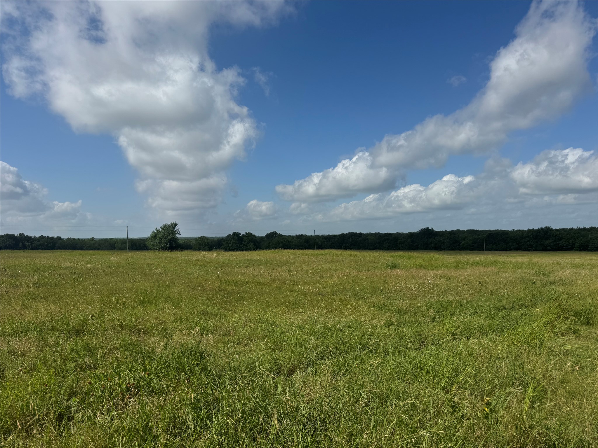 001 Fm 2990 Ladonia TX 75449