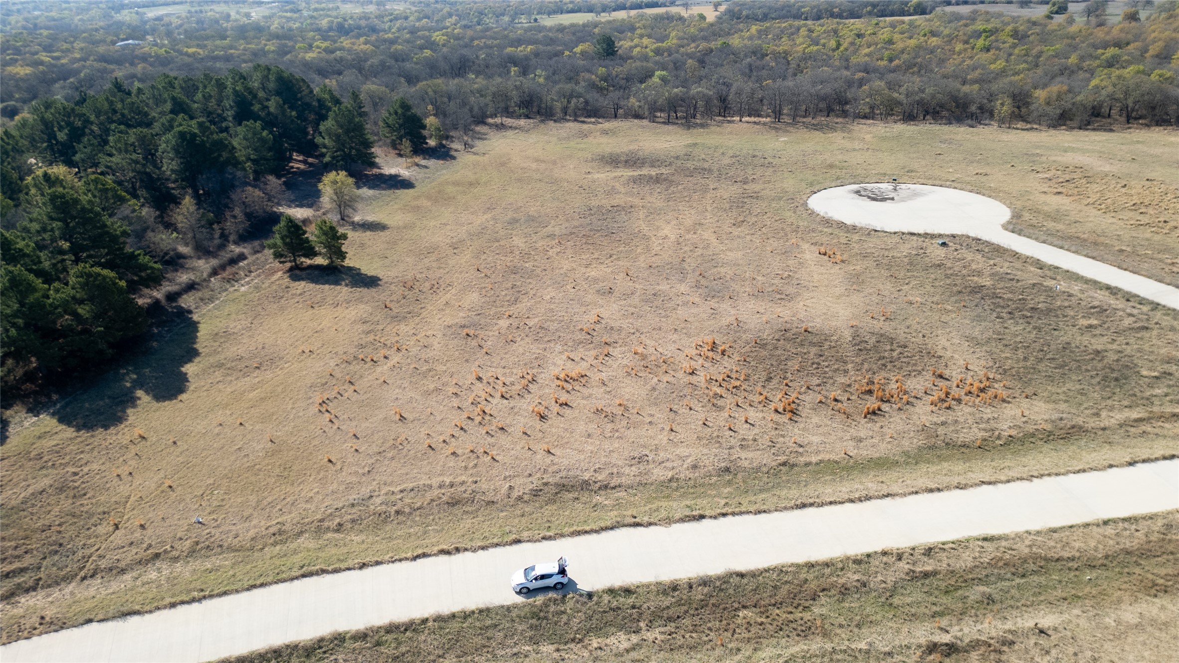 6001 Conifer Court Poolville TX 76487