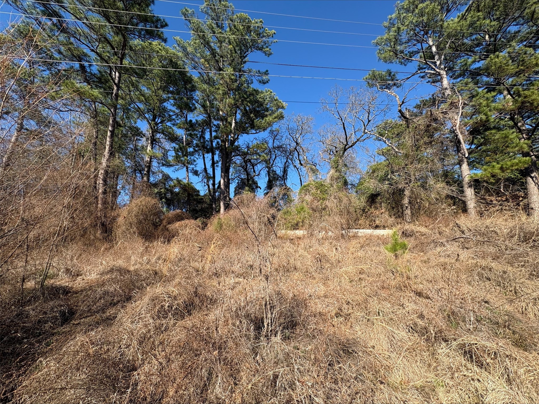 22446 Shady Trail Flint TX 75762