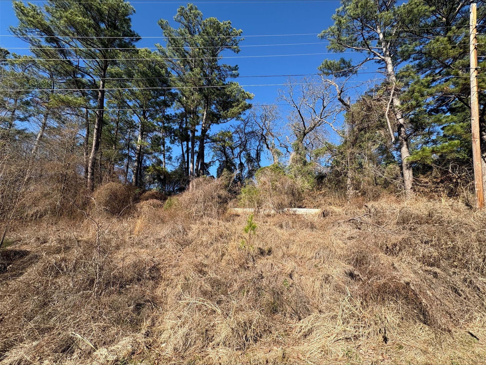 22446 Shady Trail Flint TX 75762