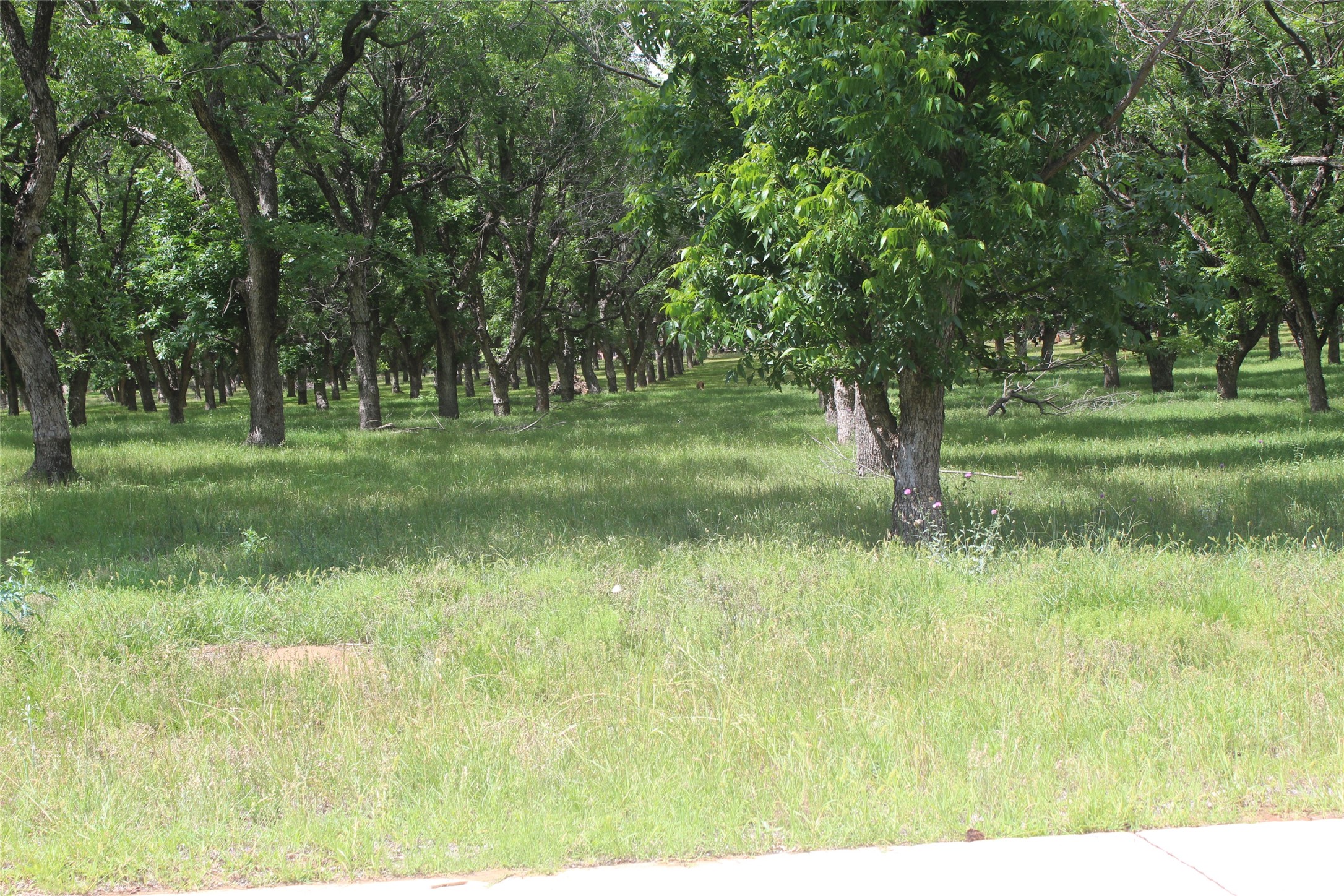 206 Poco Bueno Court Granbury TX 76049