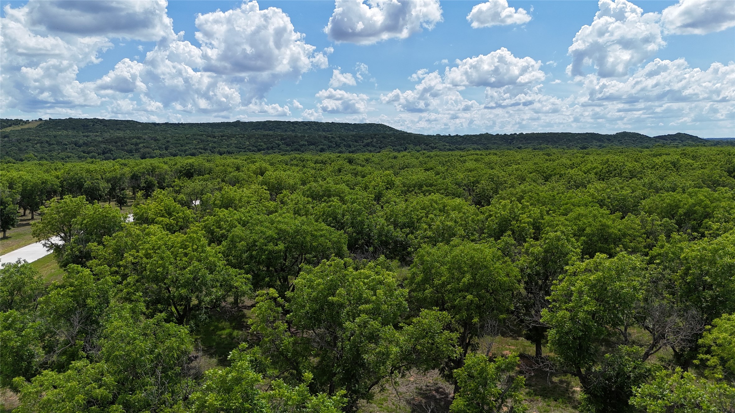 206 Poco Bueno Court Granbury TX 76049