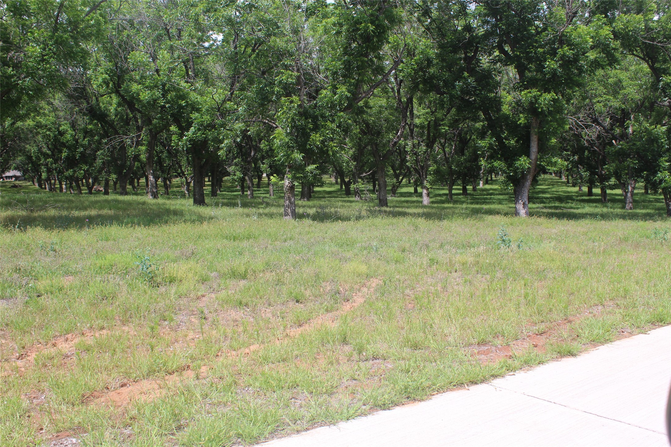 206 Poco Bueno Court Granbury TX 76049