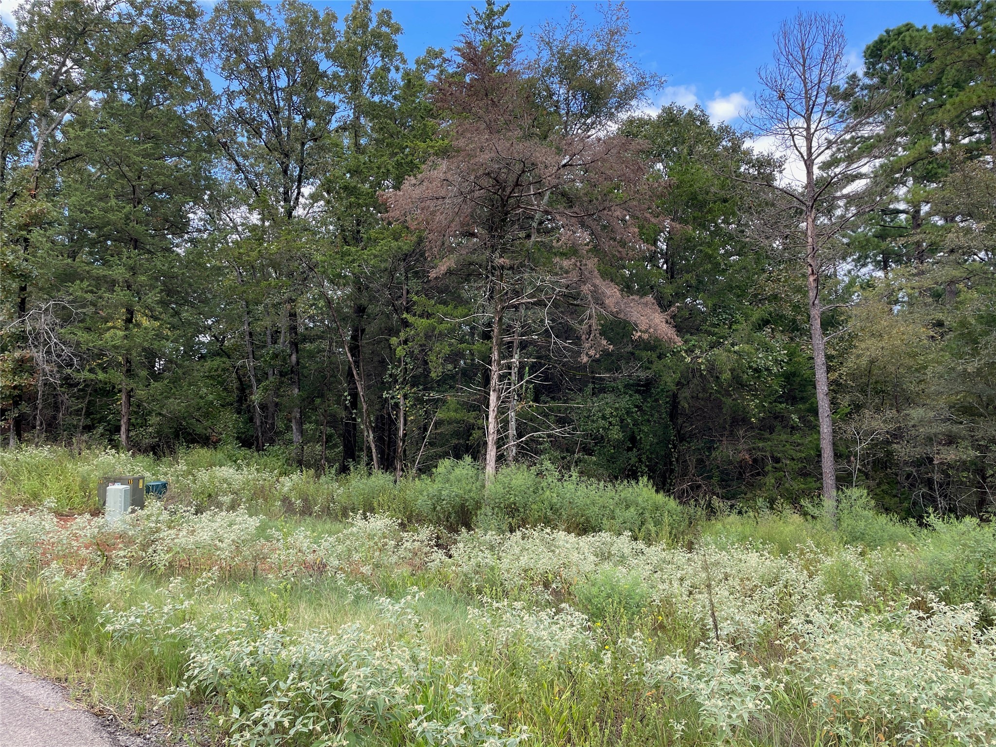 Lot 19 Tbd Cedarpark Place Lindale TX 75771