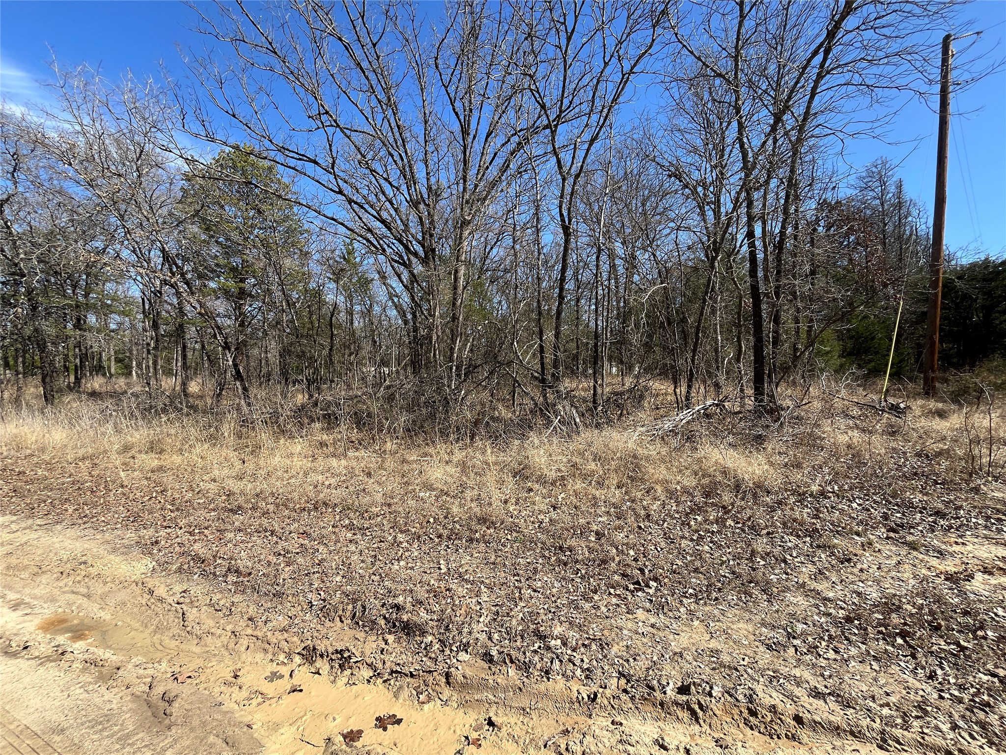 0000 County Road 3605 Quinlan TX 75474