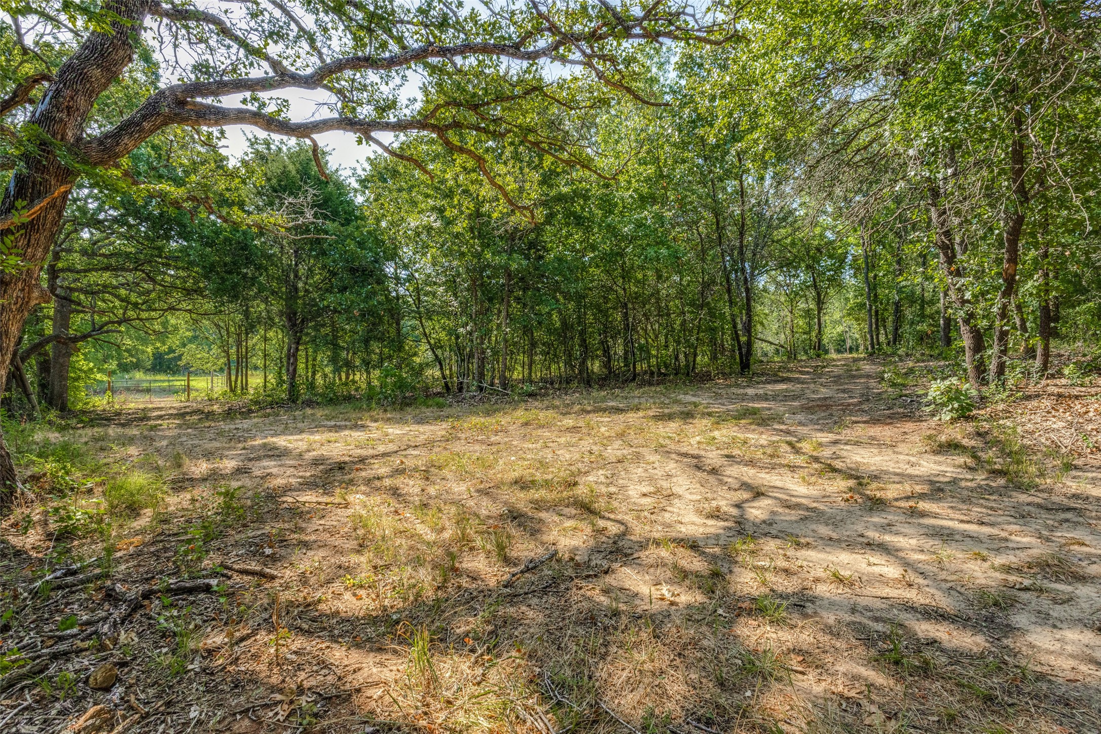 6650 State Highway 56 Highway Bells TX 75414