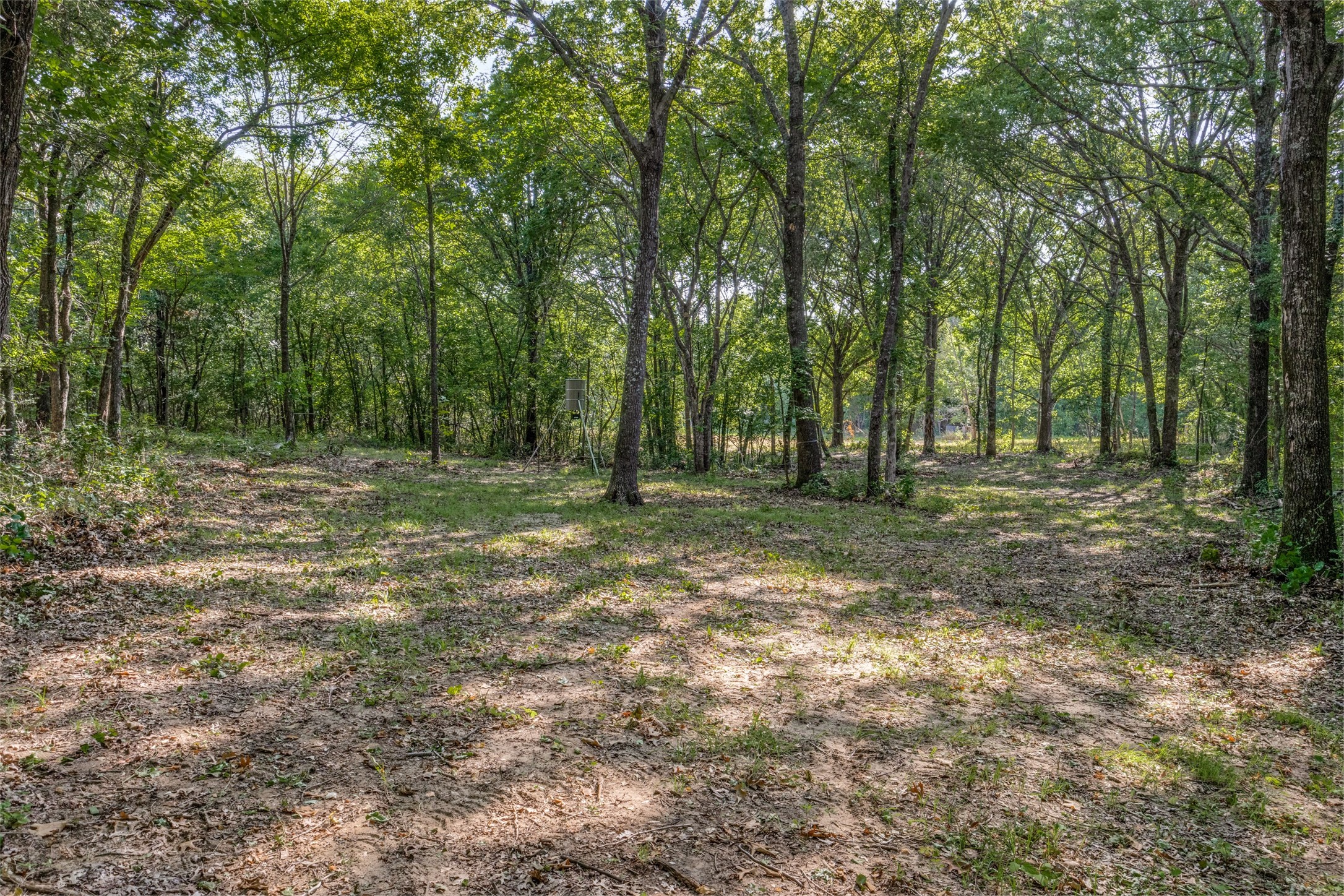 6650 State Highway 56 Highway Bells TX 75414