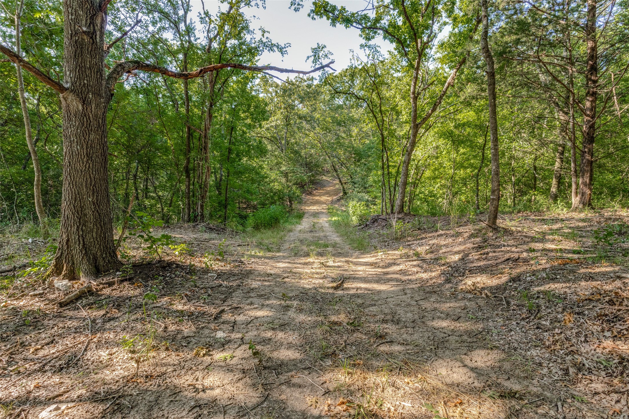 6650 State Highway 56 Highway Bells TX 75414