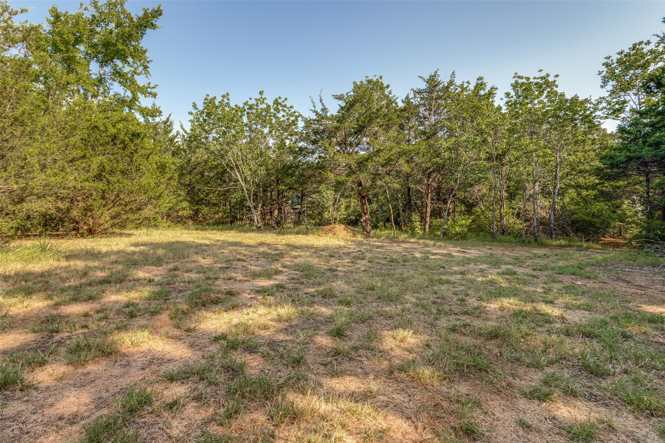6650 State Highway 56 Highway Bells TX 75414