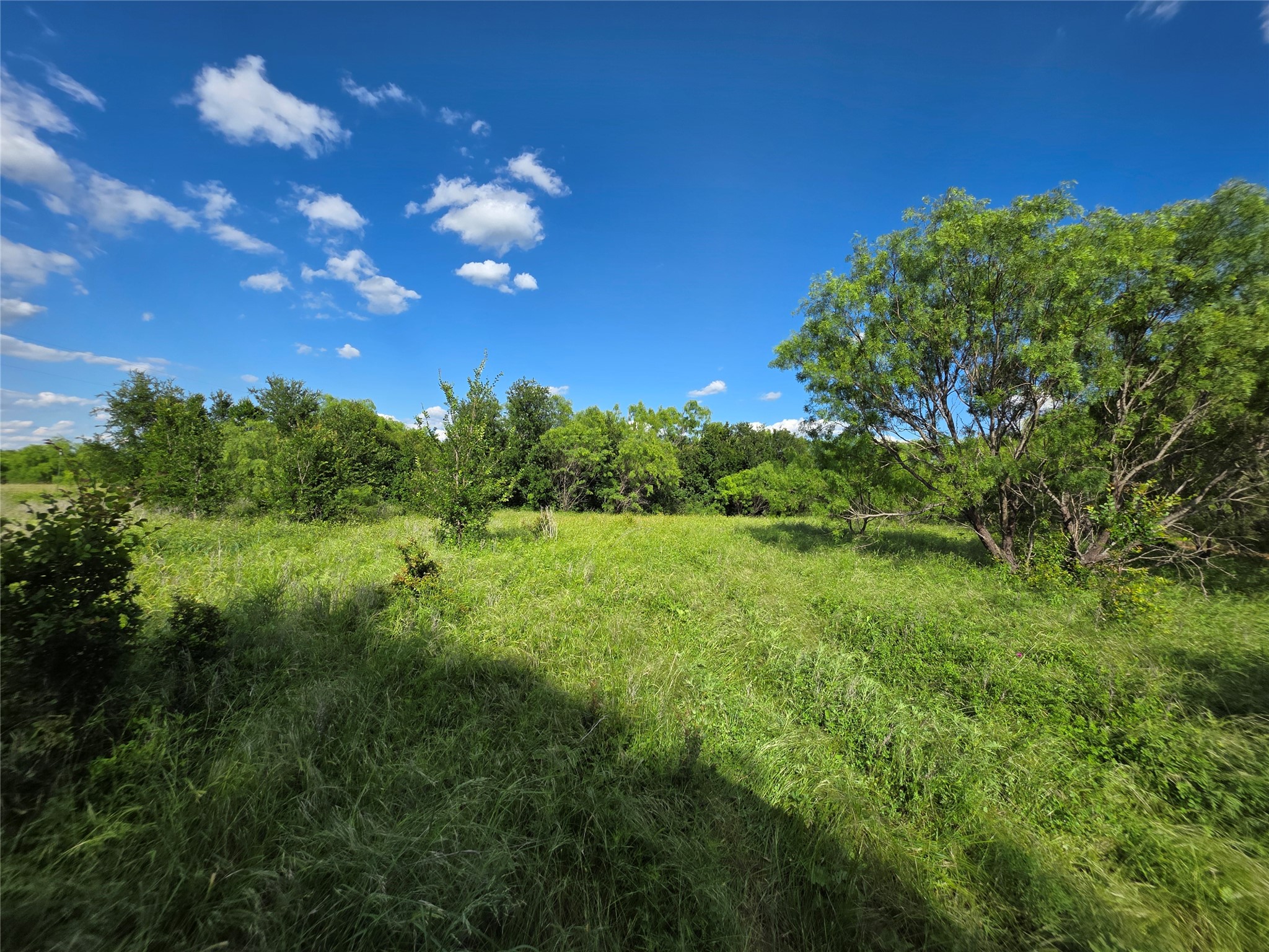3201 County Road 612 Bangs TX 76823