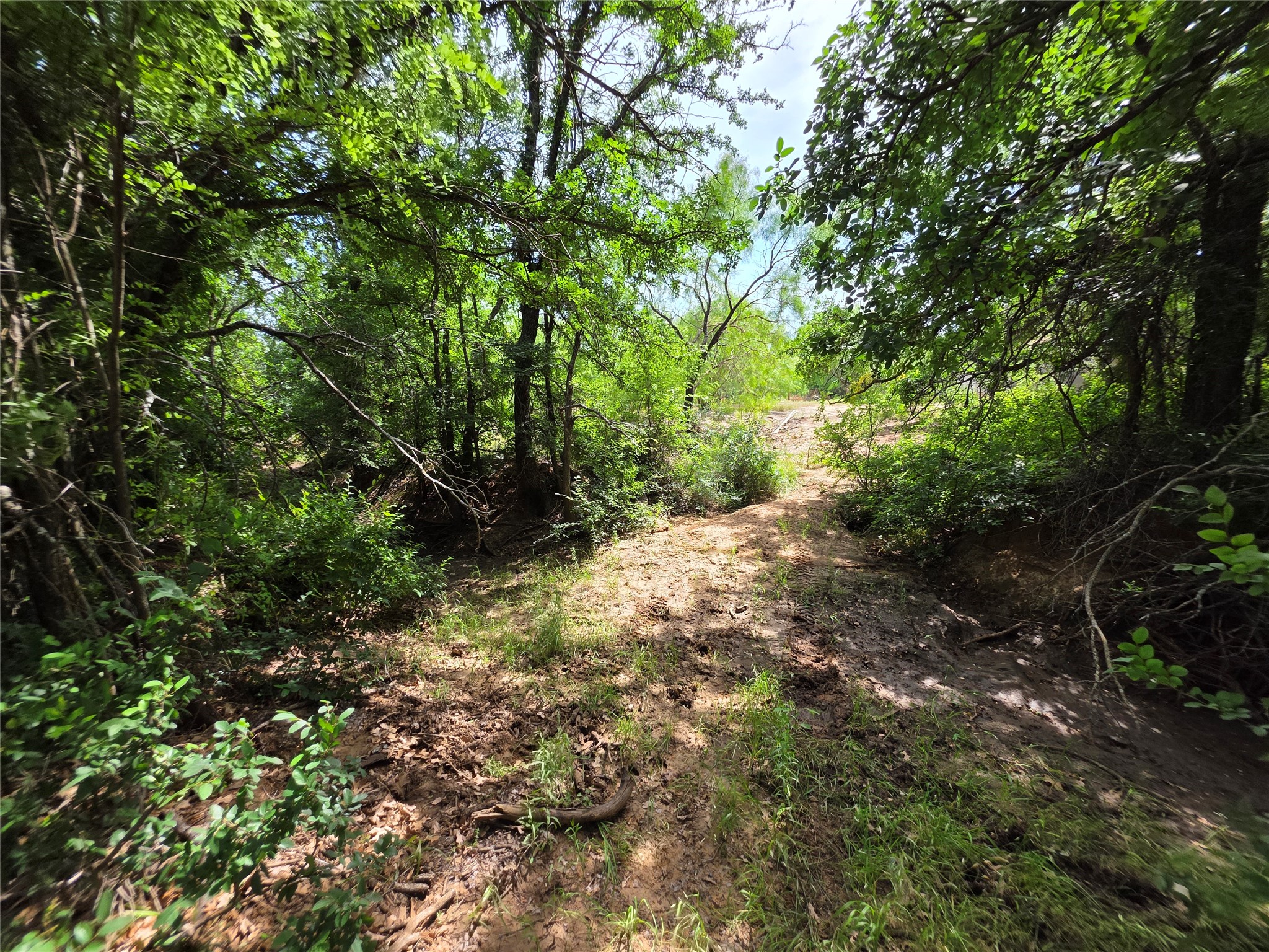 3201 County Road 612 Bangs TX 76823
