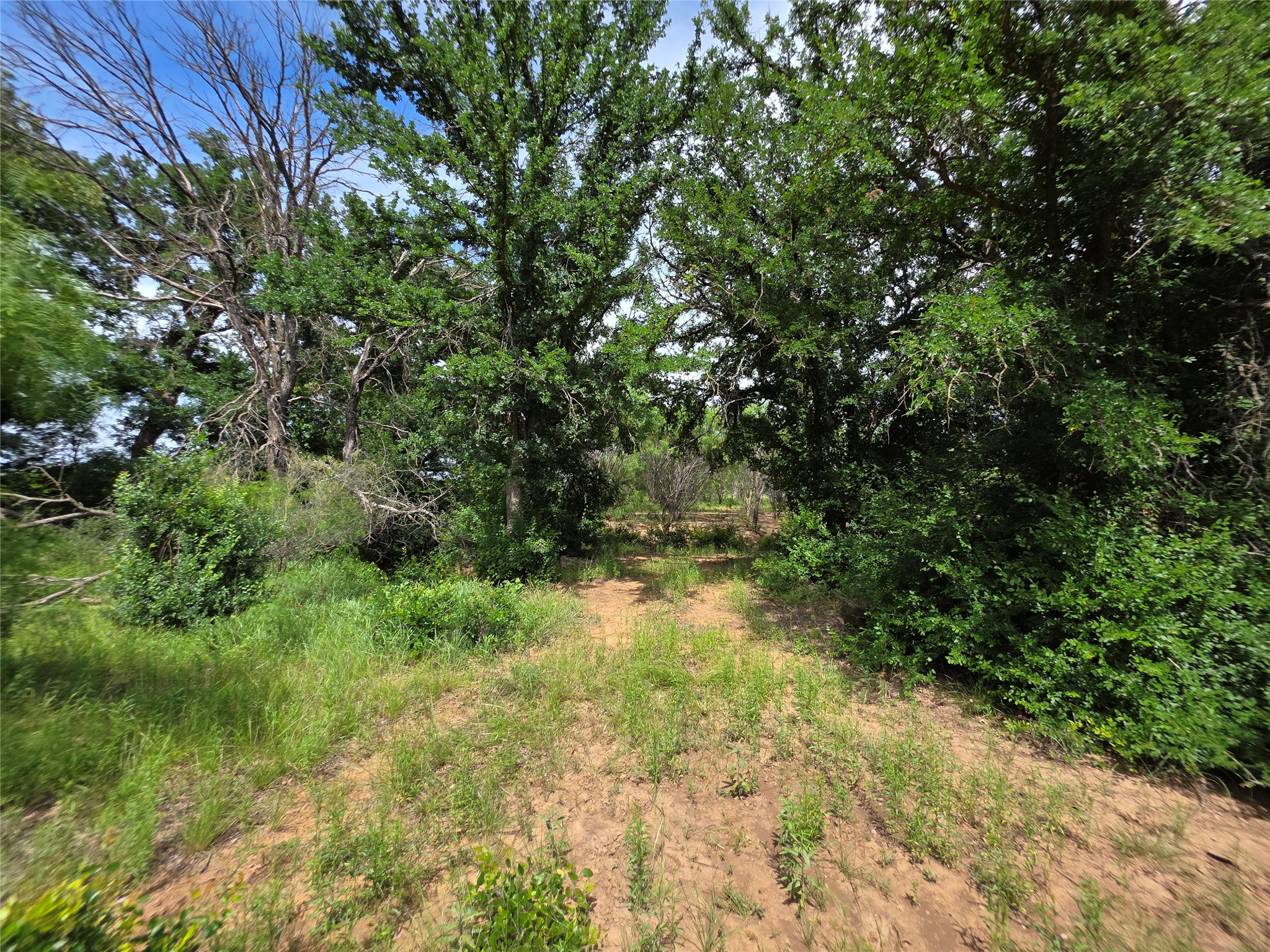 3201 County Road 612 Bangs TX 76823