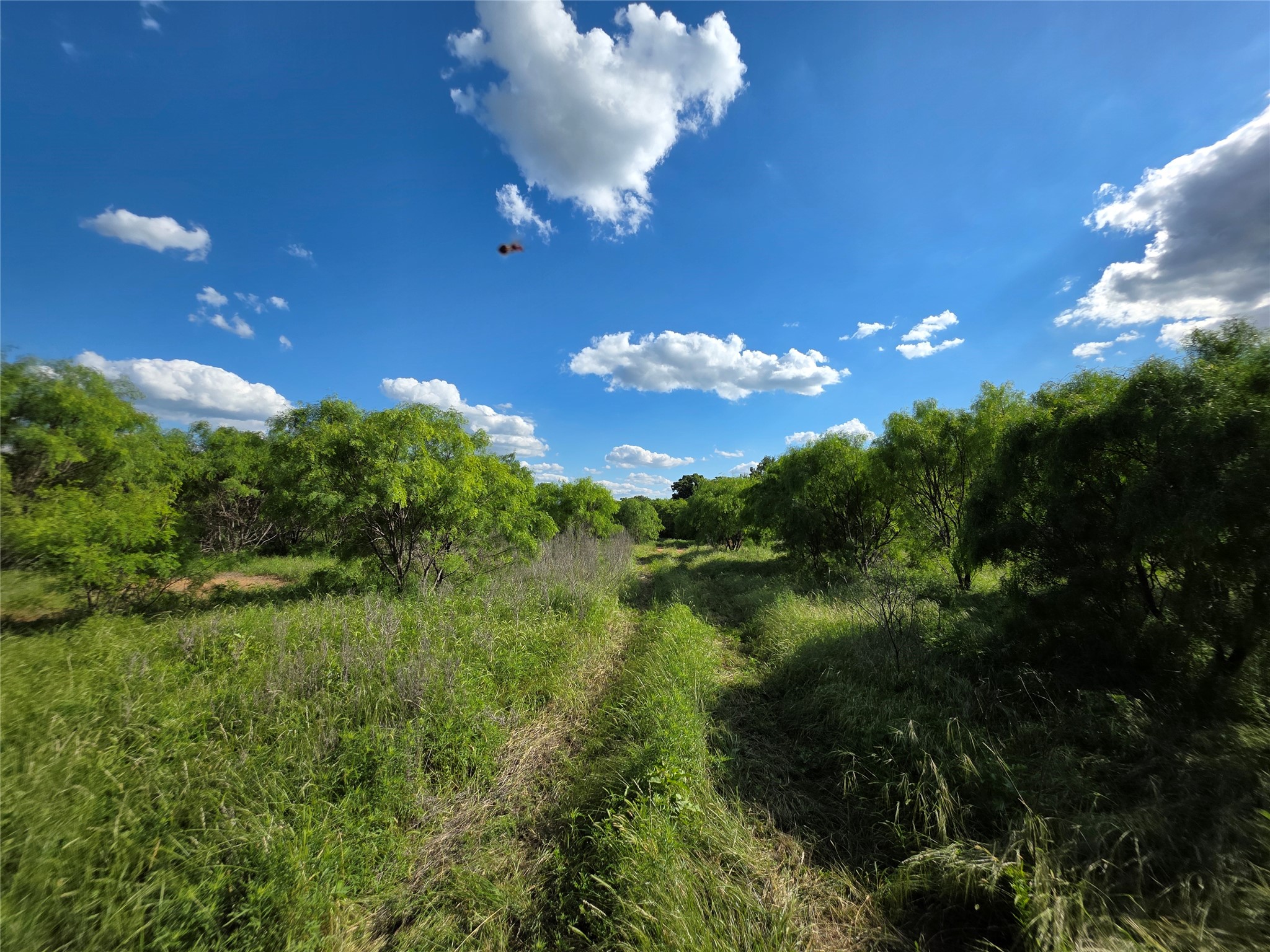3201 County Road 612 Bangs TX 76823