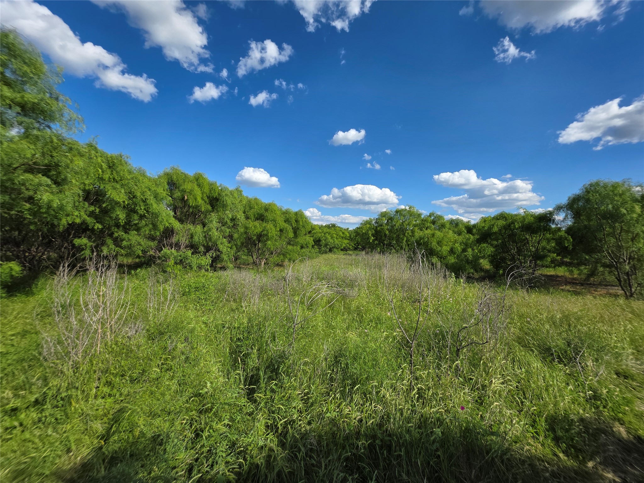 3201 County Road 612 Bangs TX 76823