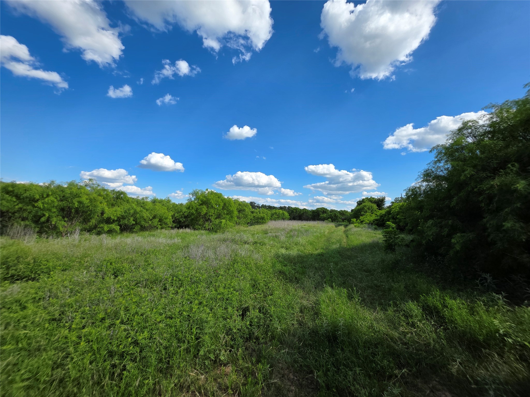 3201 County Road 612 Bangs TX 76823