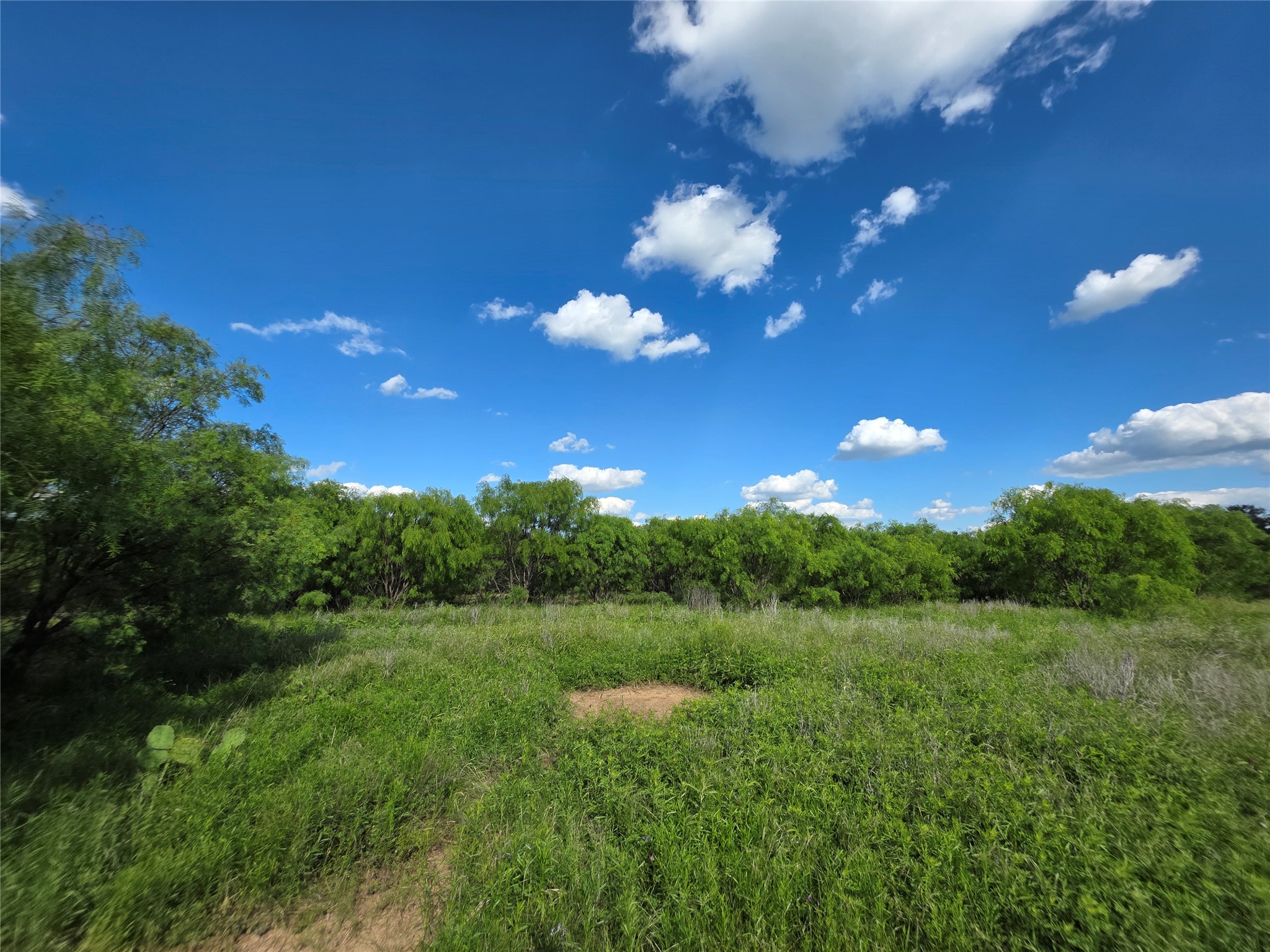 3201 County Road 612 Bangs TX 76823