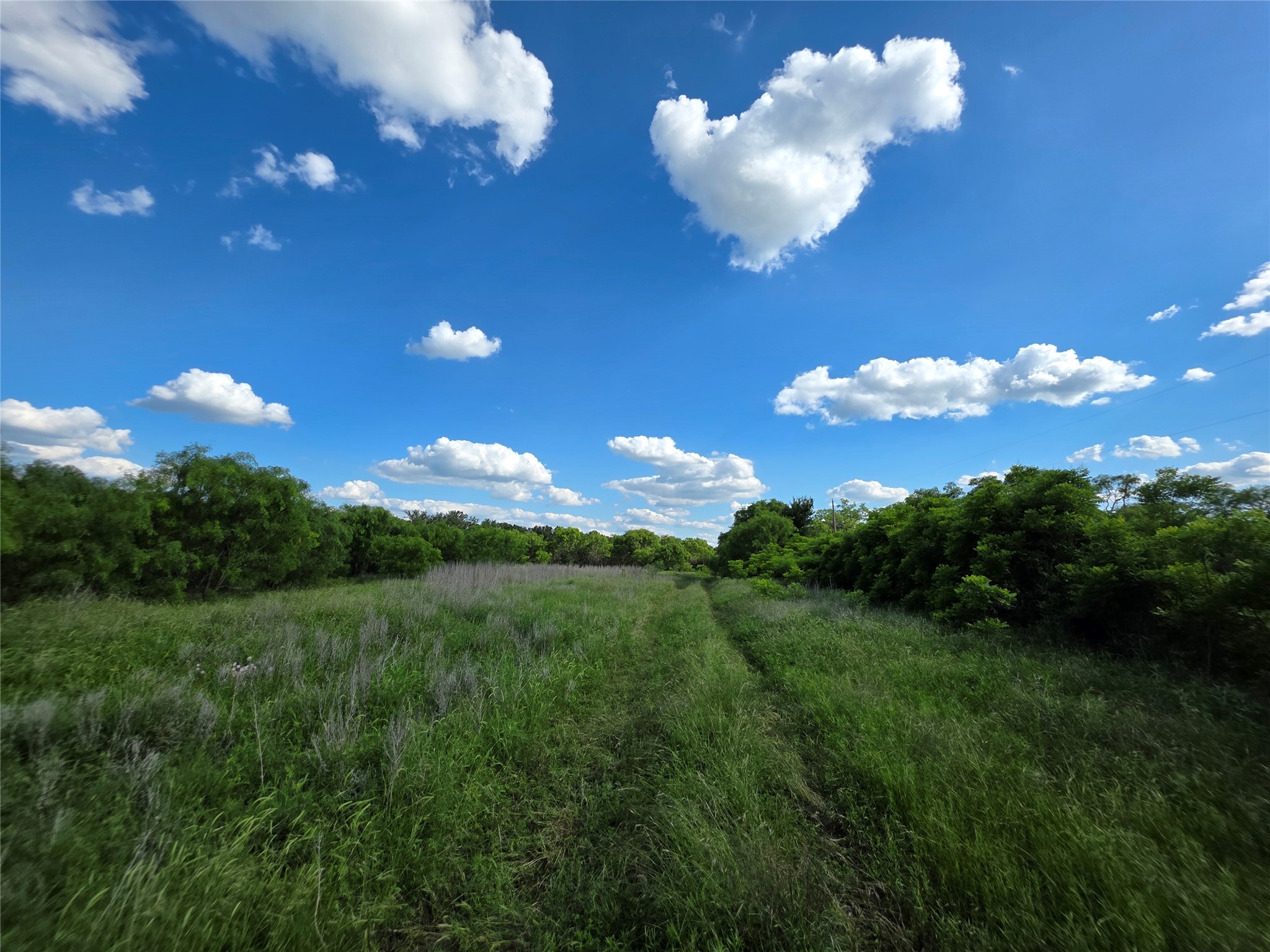 3201 County Road 612 Bangs TX 76823