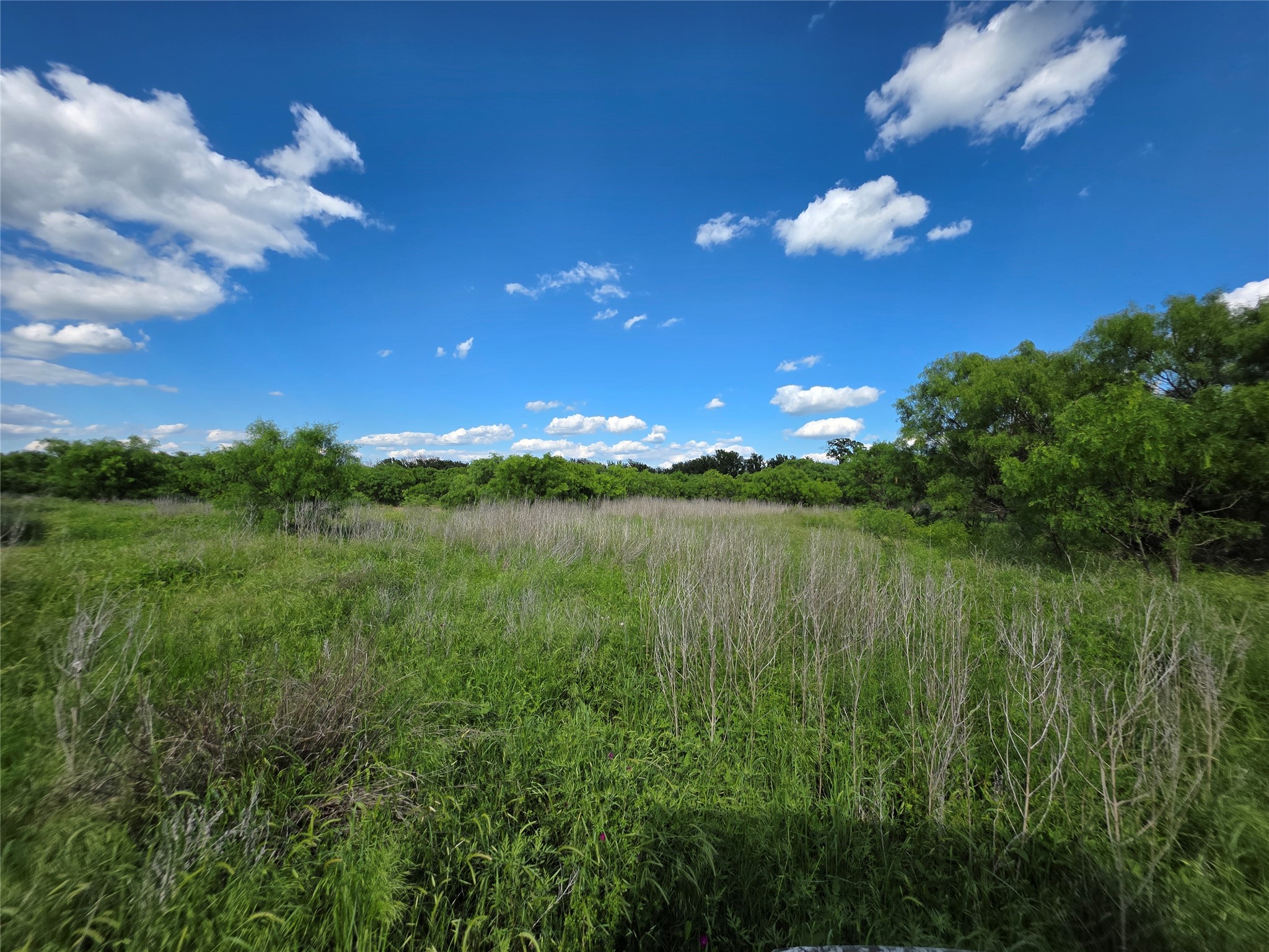 3201 County Road 612 Bangs TX 76823