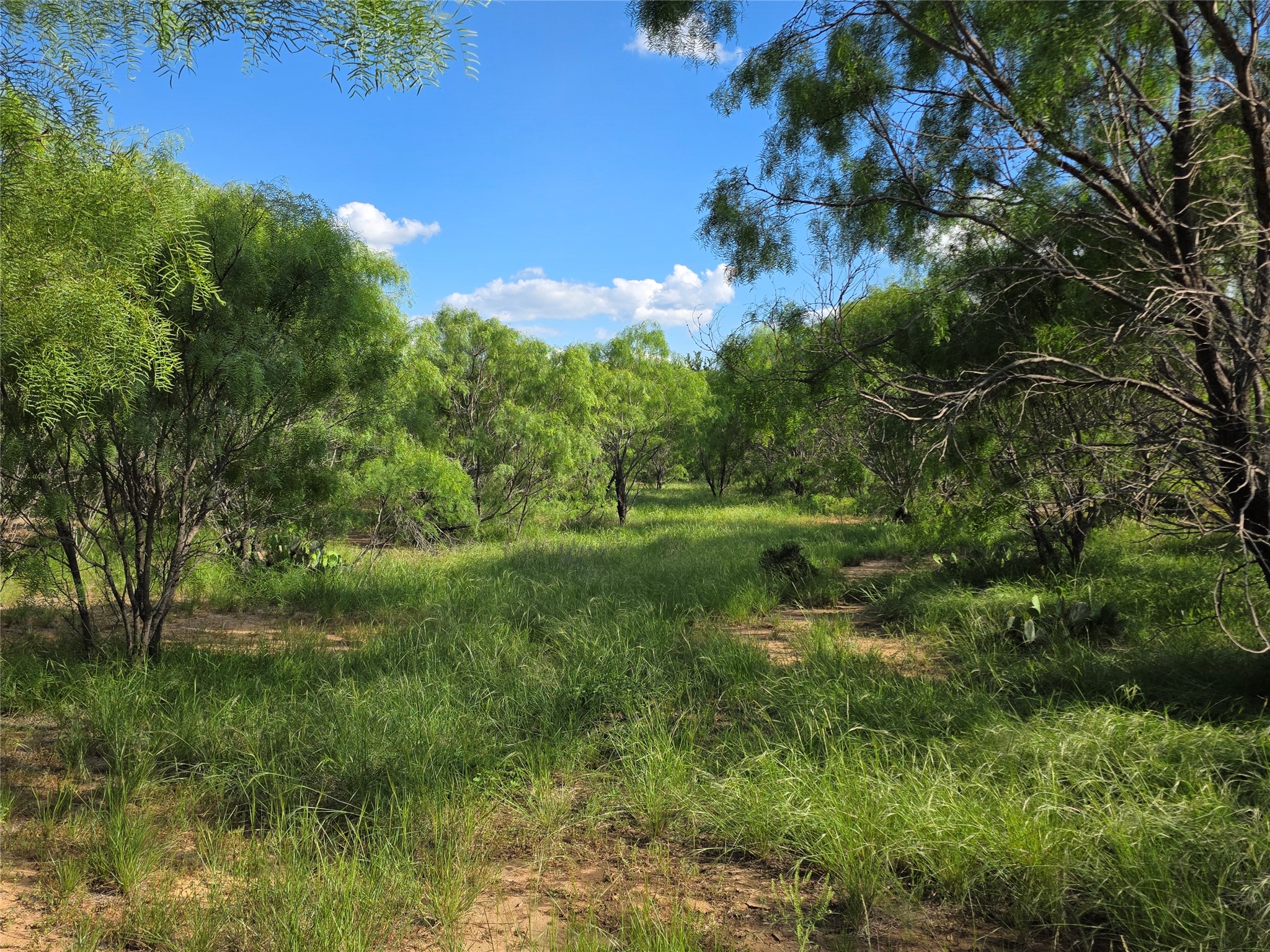 3201 County Road 612 Bangs TX 76823