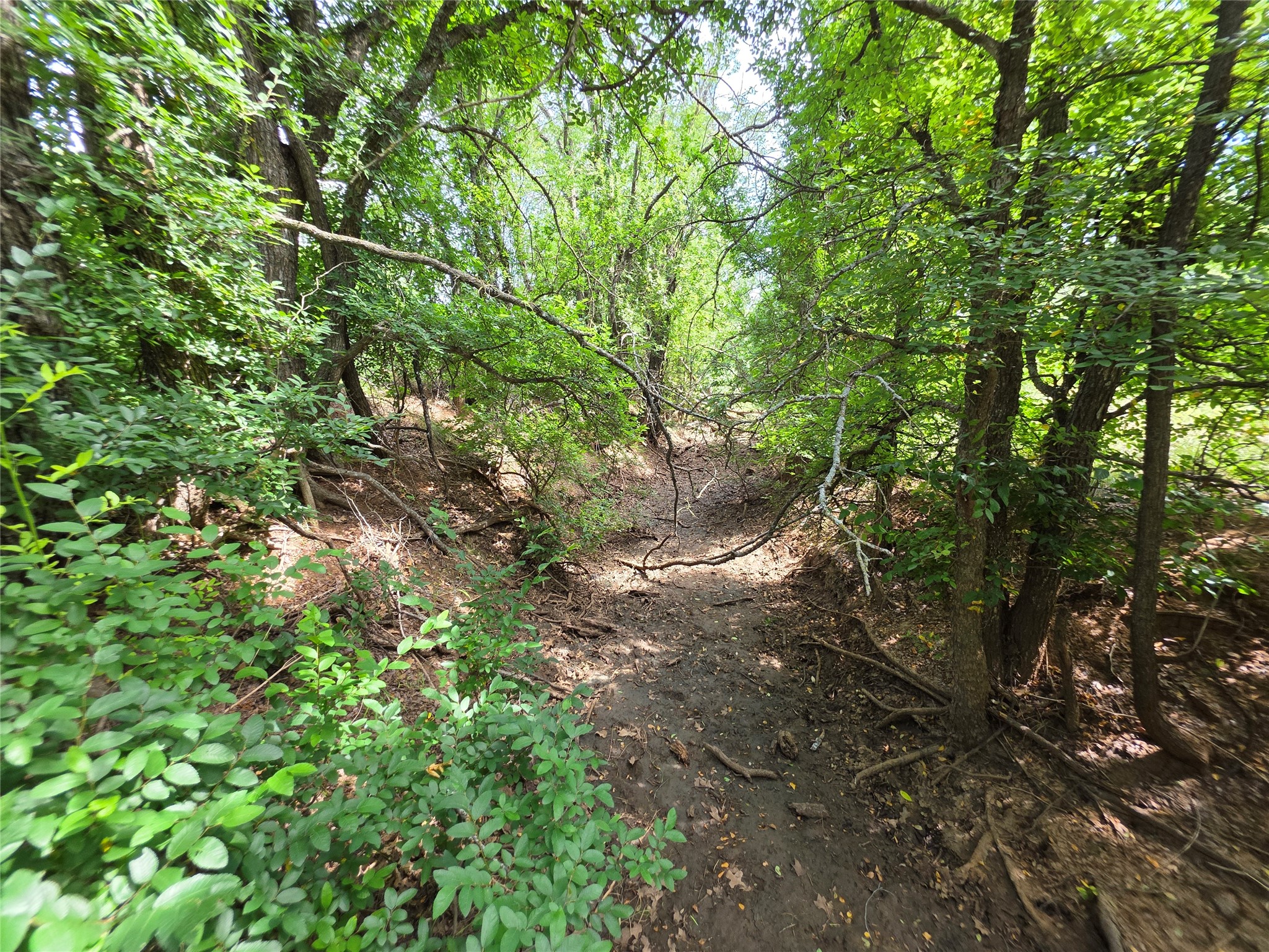 3201 County Road 612 Bangs TX 76823