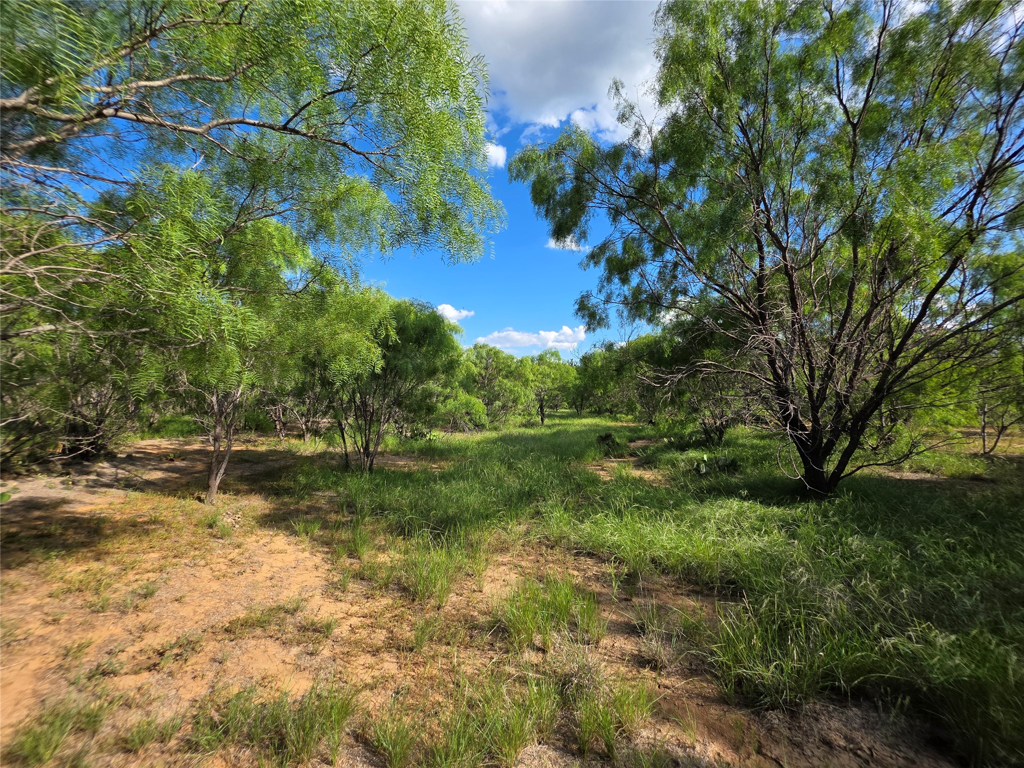 3201 County Road 612 Bangs TX 76823
