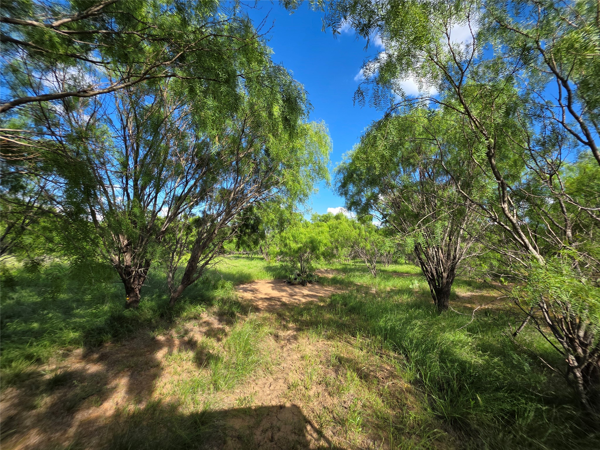 3201 County Road 612 Bangs TX 76823