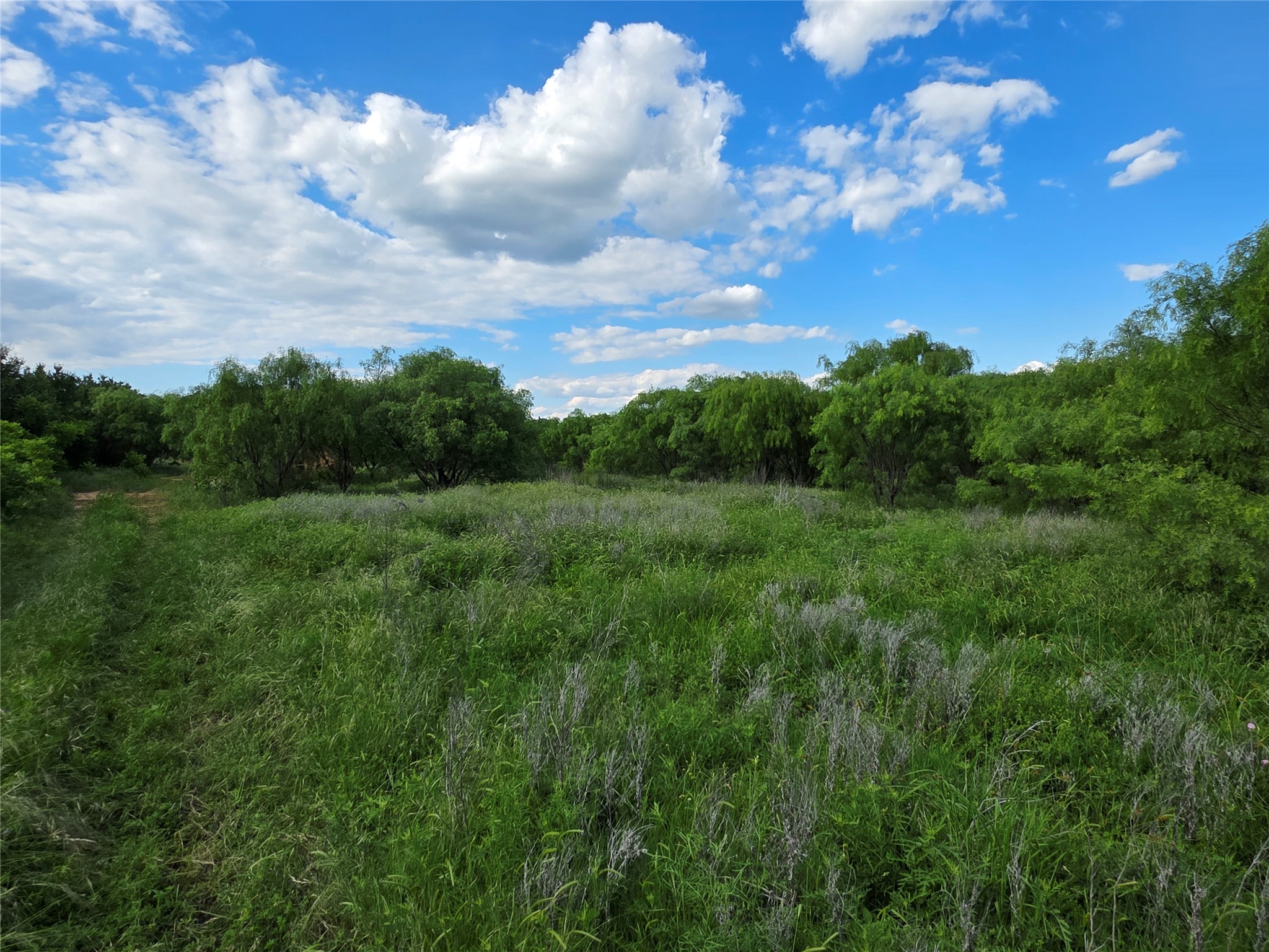 3201 County Road 612 Bangs TX 76823