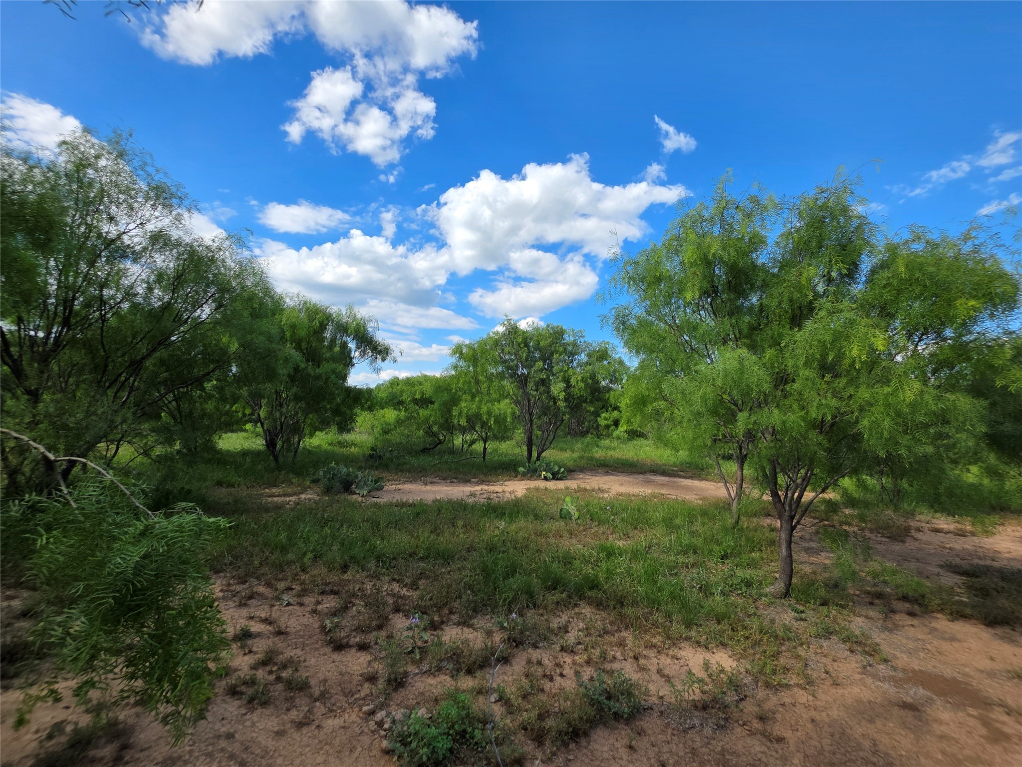 3201 County Road 612 Bangs TX 76823
