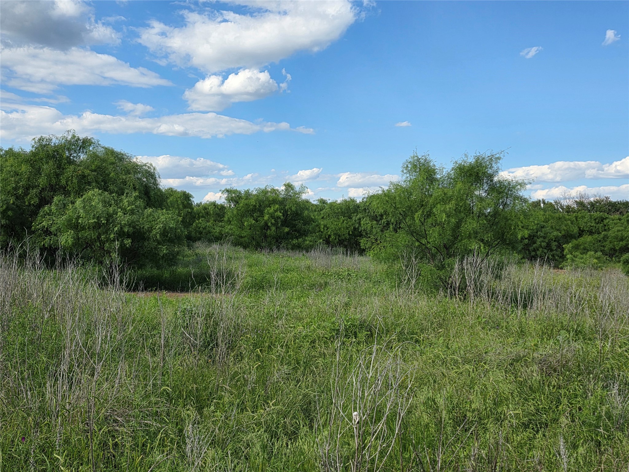 3201 County Road 612 Bangs TX 76823