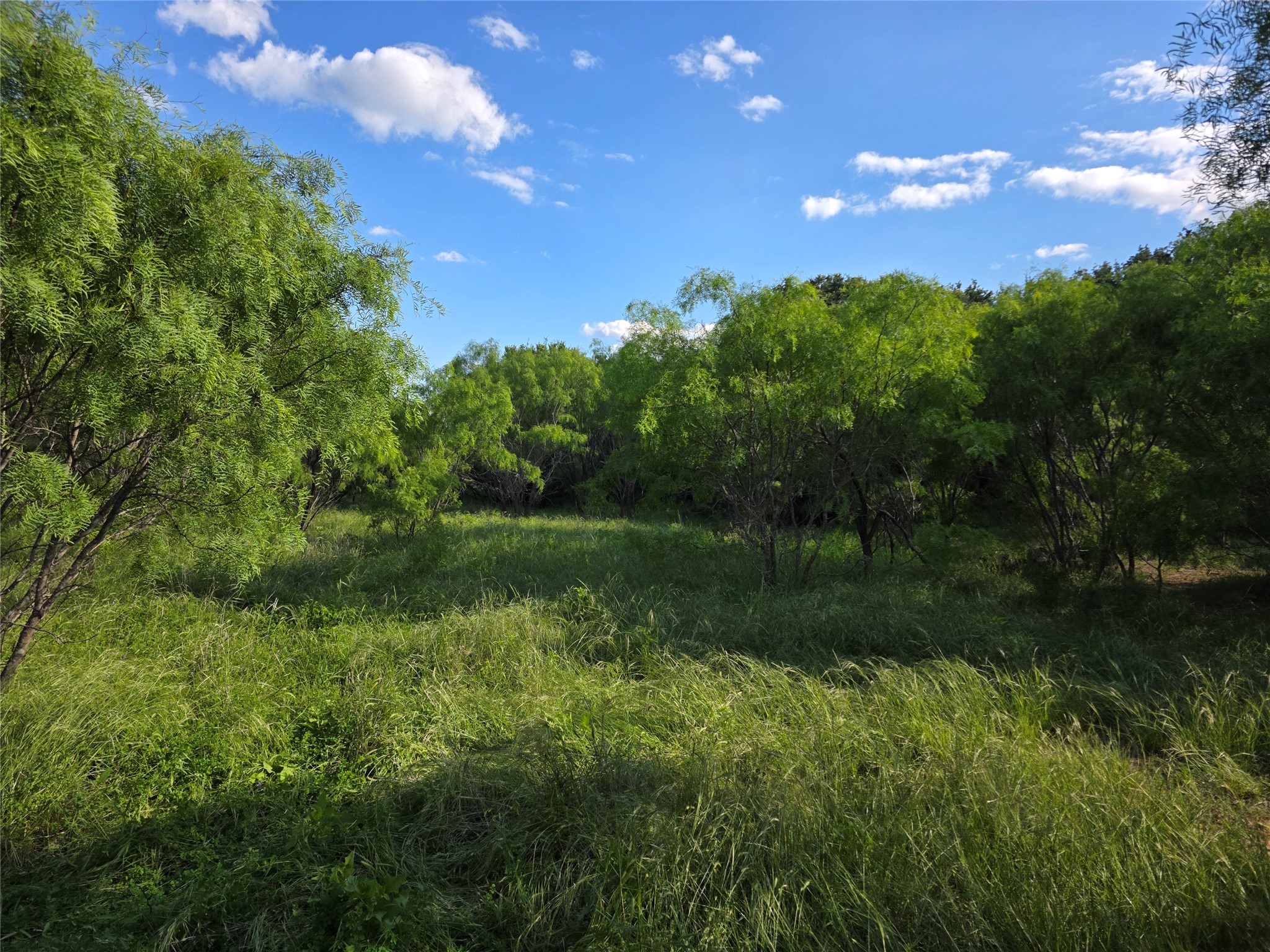 3201 County Road 612 Bangs TX 76823