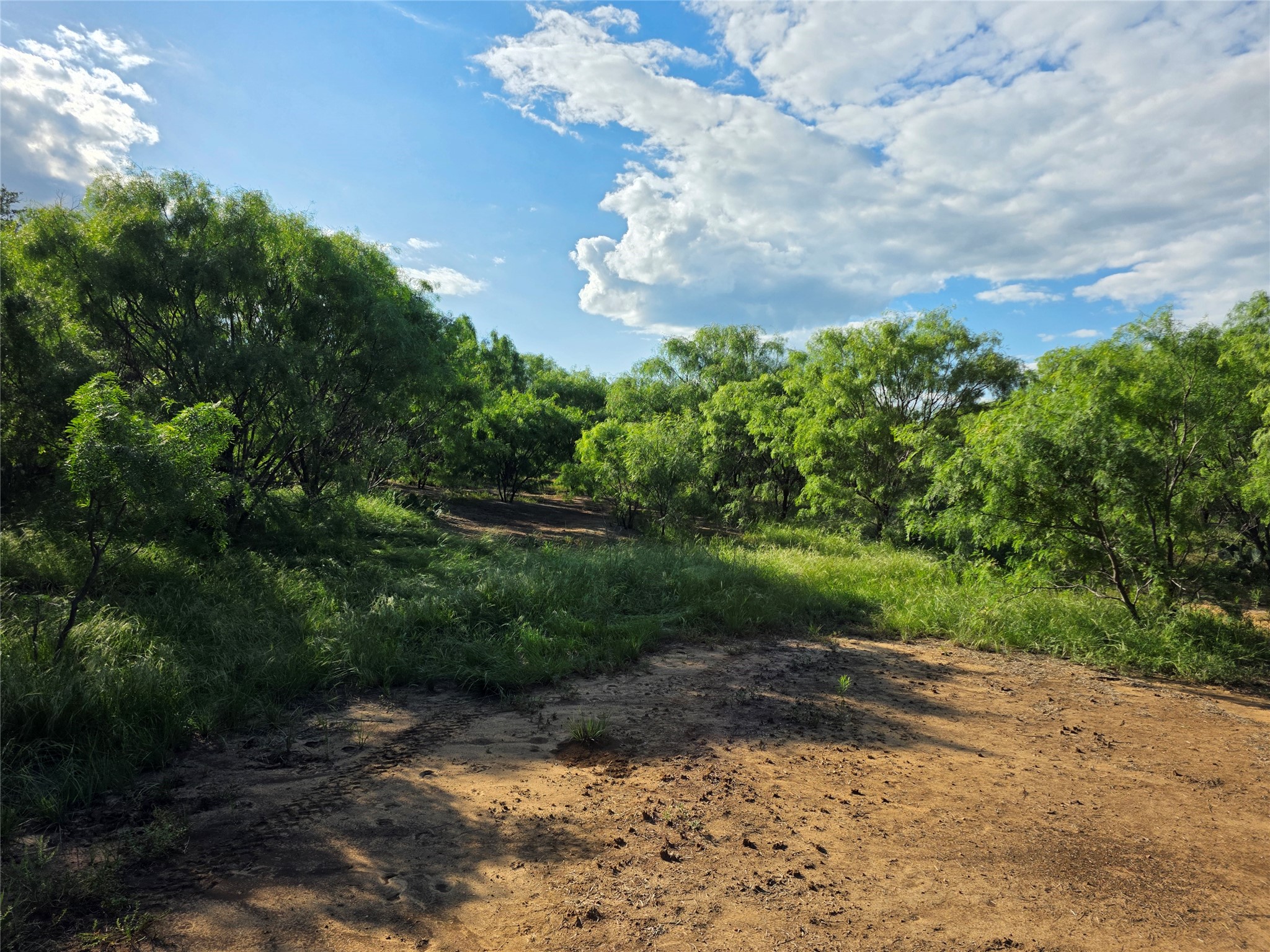 3201 County Road 612 Bangs TX 76823