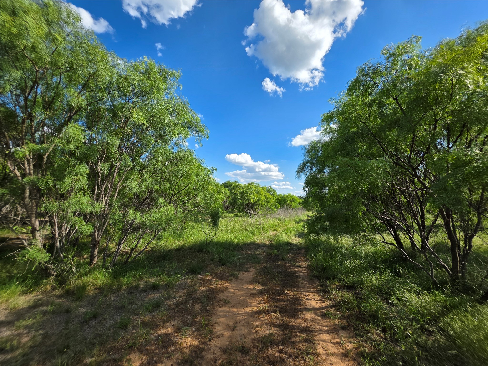 3201 County Road 612 Bangs TX 76823
