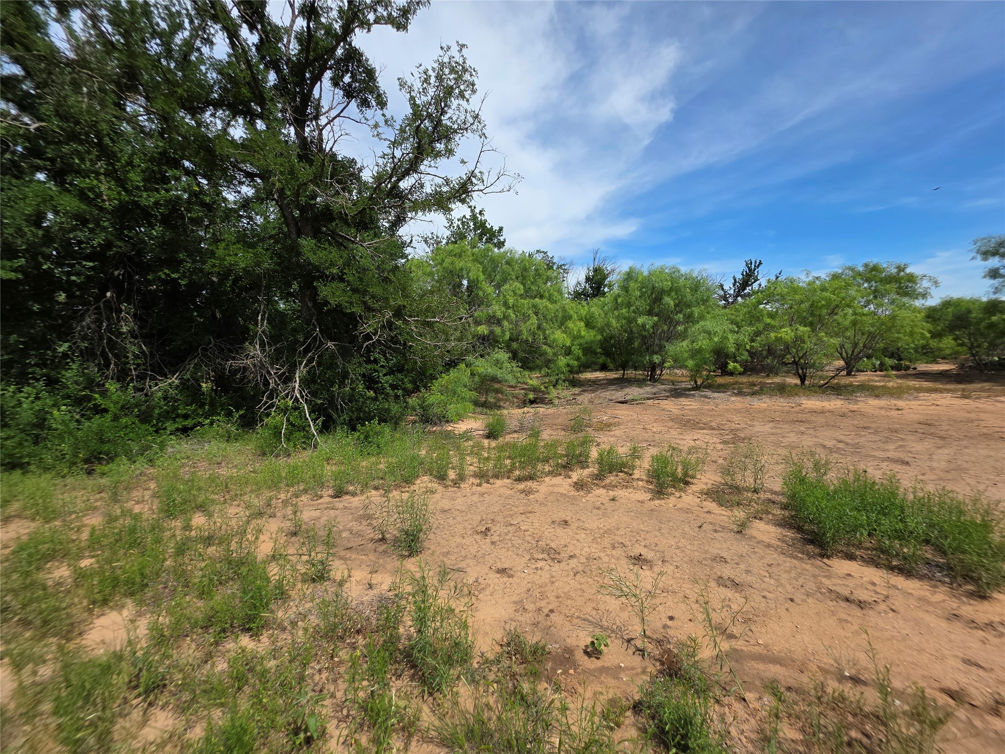 3201 County Road 612 Bangs TX 76823