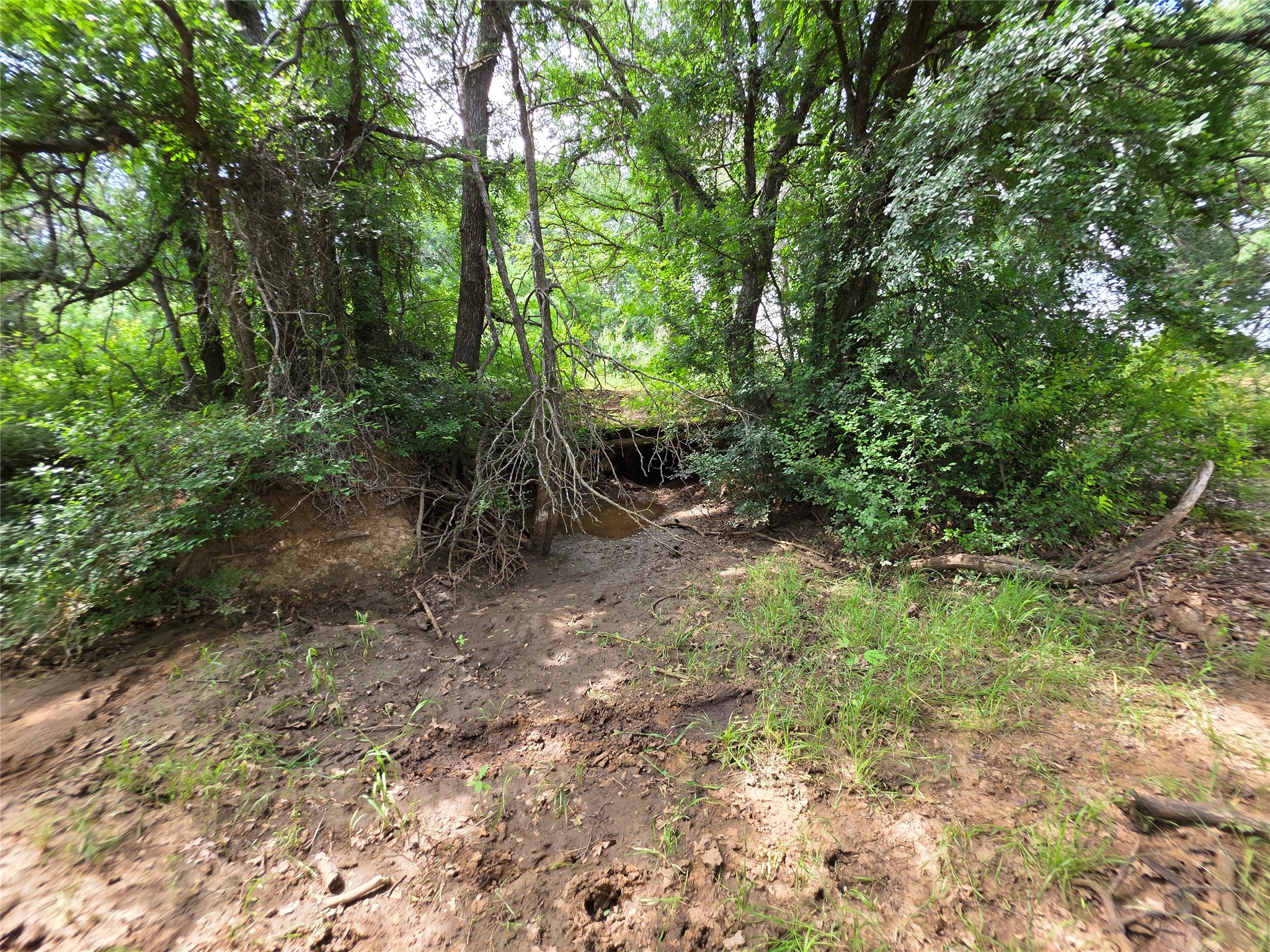 3201 County Road 612 Bangs TX 76823
