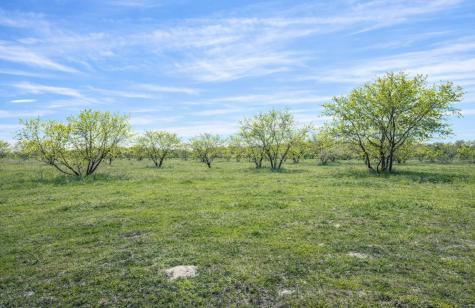 194 Lcr 614 Groesbeck TX 76642