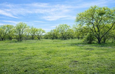 194 Lcr 614 Groesbeck TX 76642